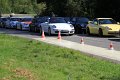 IMG_1231 _MS
